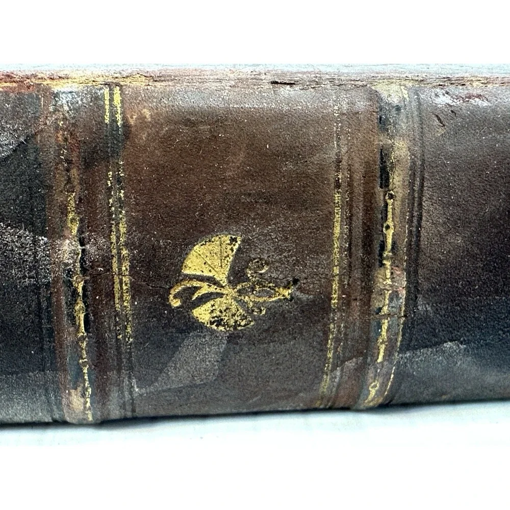 Antique The Mill on the Floss George Eliot Belford Clarke & Co Chicago & NY 1885